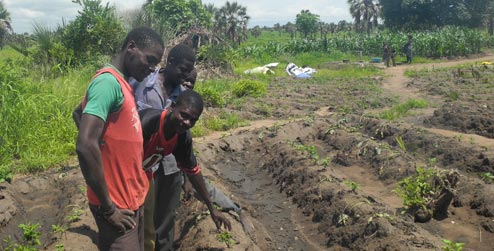 Farmers in Kasache